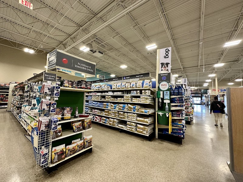 Photo of PetSmart Doggie Day Camp