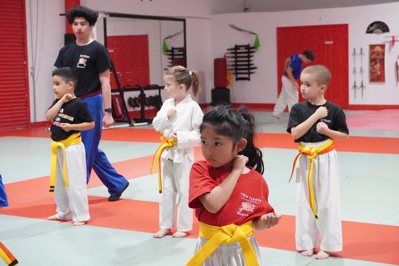 Twin Tigers Academy of Self Defense photo 2