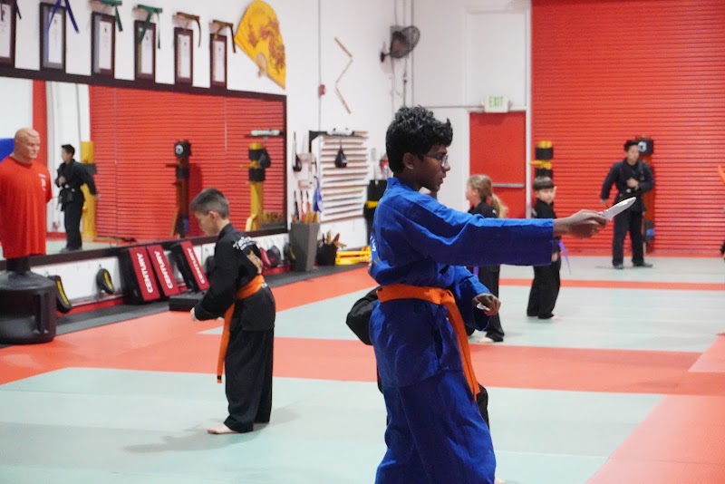 Twin Tigers Academy of Self Defense photo 4