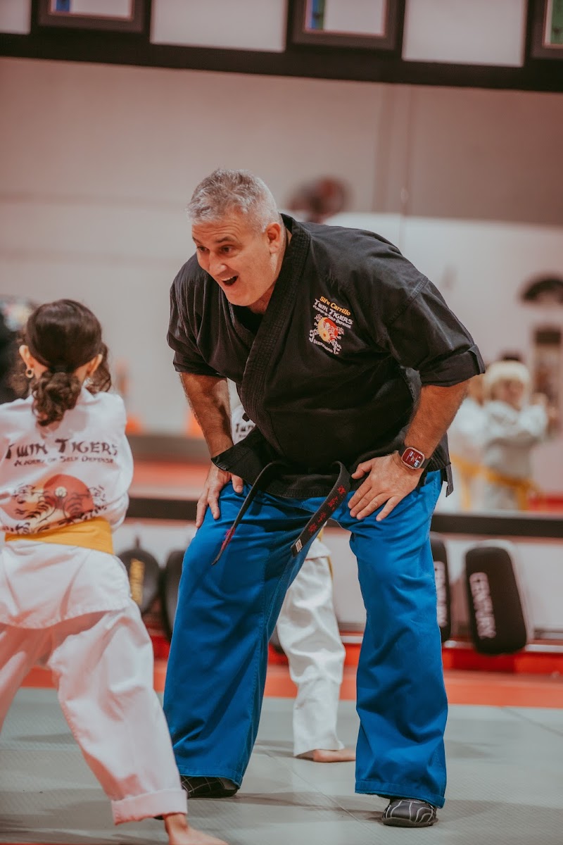 Twin Tigers Academy of Self Defense photo 3