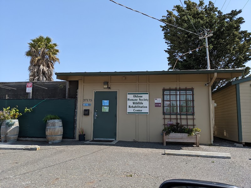 Photo of Ohlone Humane Society Wildlife Rehabilitation Center
