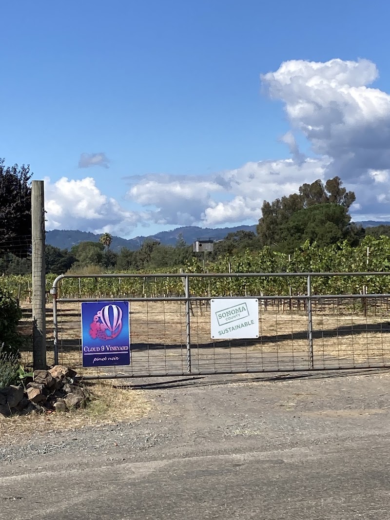 Photo of Cloud 9 vineyard