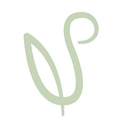 Universal Spine & Joint Specialists photo 2