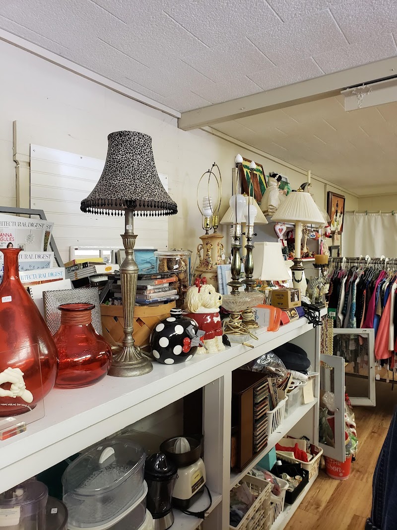 The Shed Thrift Shop photo 2