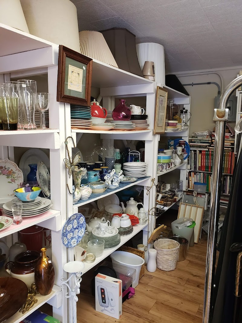 Photo of The Shed Thrift Shop