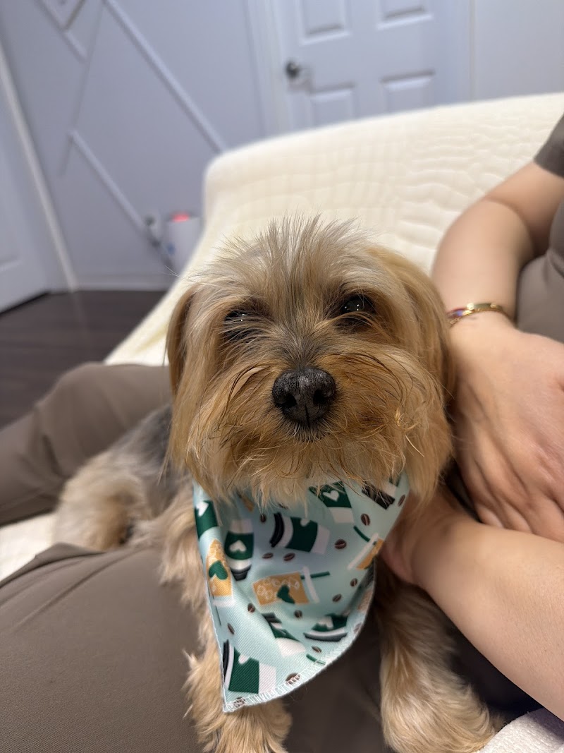 Woof Gang Bakery & Grooming Santa Clara photo 5