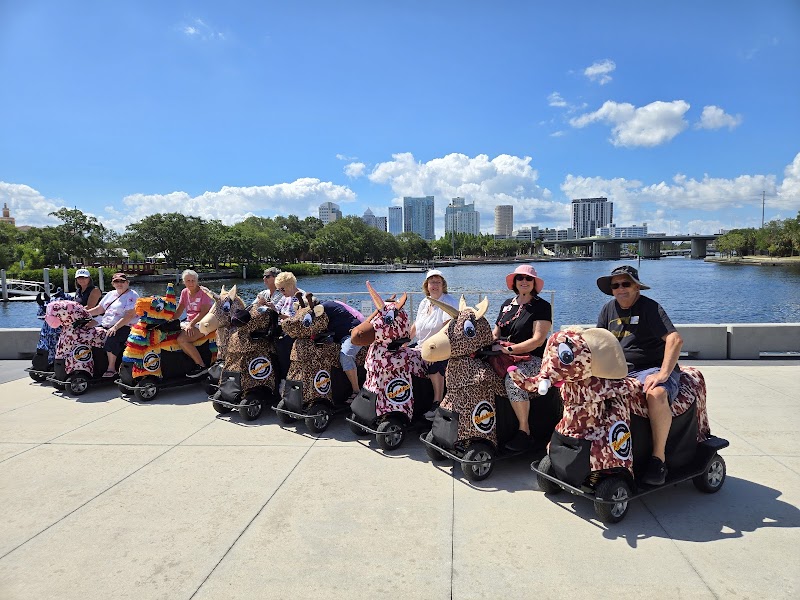 Tampa Rydables photo 3