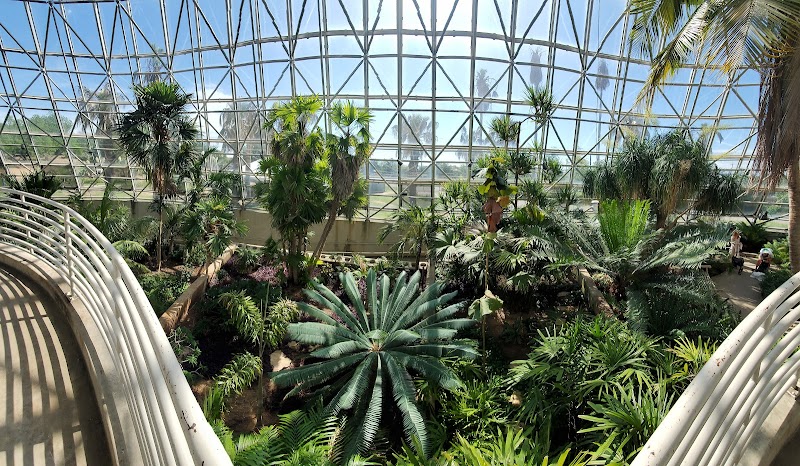 San Antonio Botanical Garden photo 2