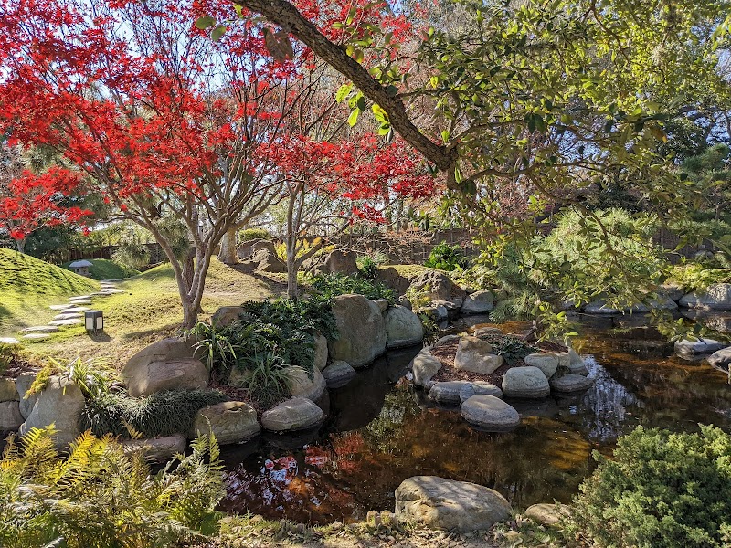 San Antonio Botanical Garden photo 4