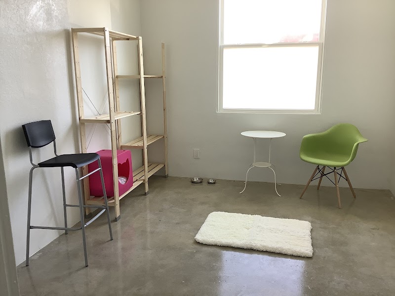 Mau House Cat Hotel photo 2