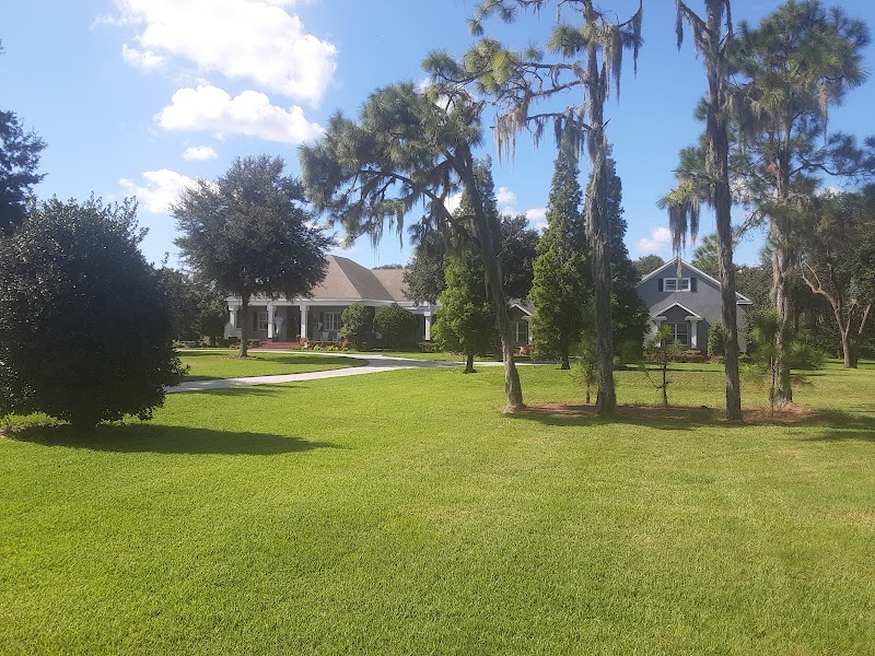 David's Tree Service photo 4