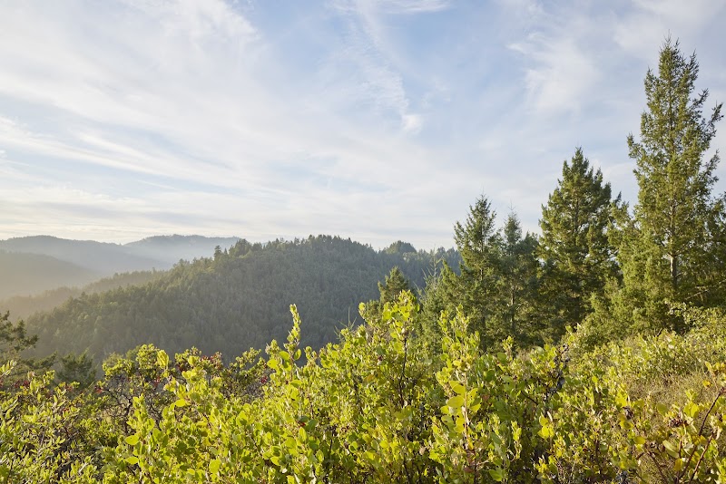 Photo of Tierra Linda Park