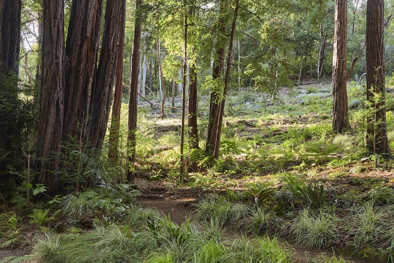 Tierra Linda Park photo 2