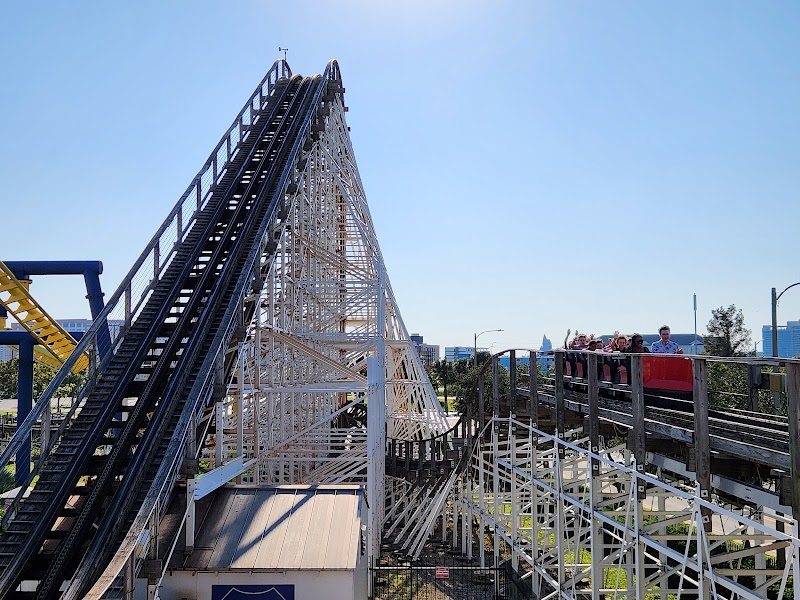 White Lightning photo 4