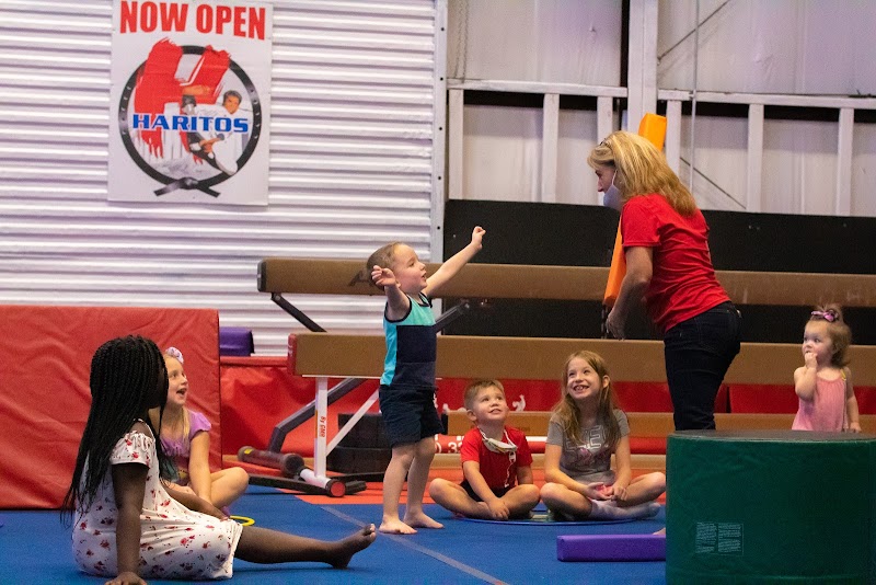 Upward Gymnastics photo 2