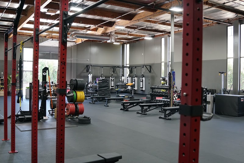 Boxing With Bakr – Palo Alto photo 5