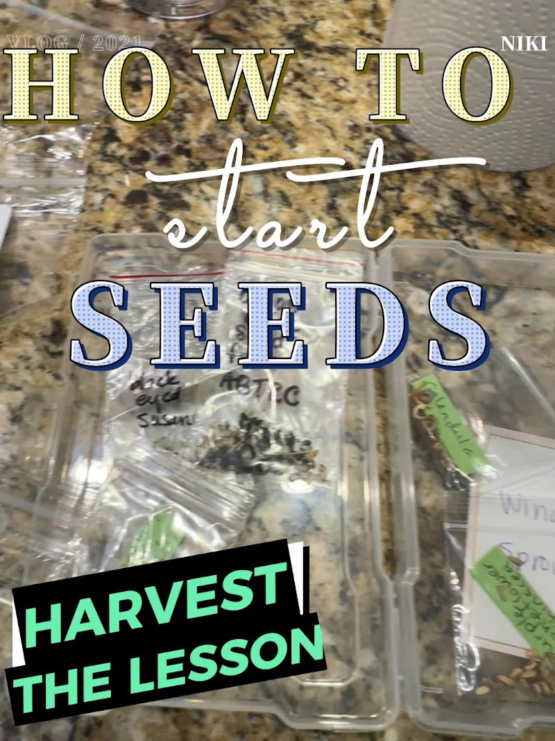 Harvest The Lesson photo 5