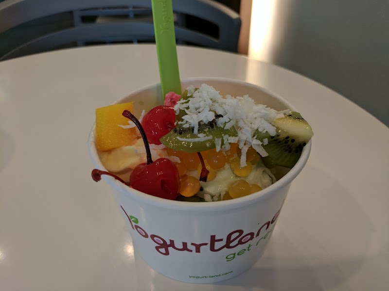 Yogurtland Dublin photo 3