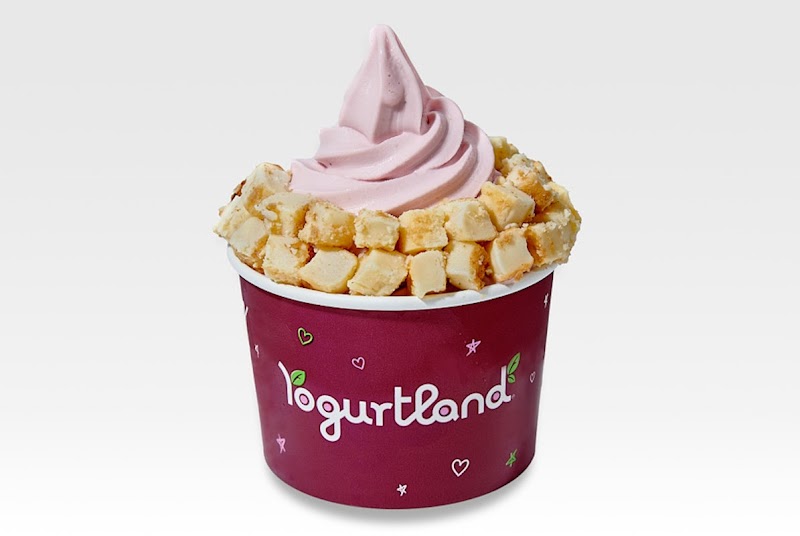 Yogurtland Dublin photo 2