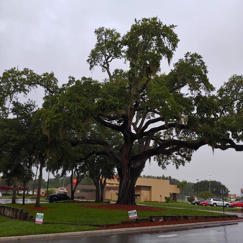 Coral Landings Shopping Plaza photo 4