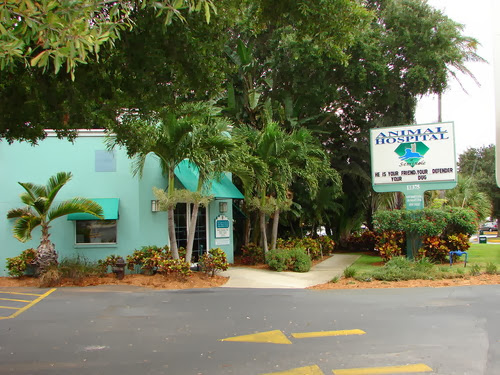 Photo of Animal Hospital of Seminole, A Thrive Pet Healthcare Partner