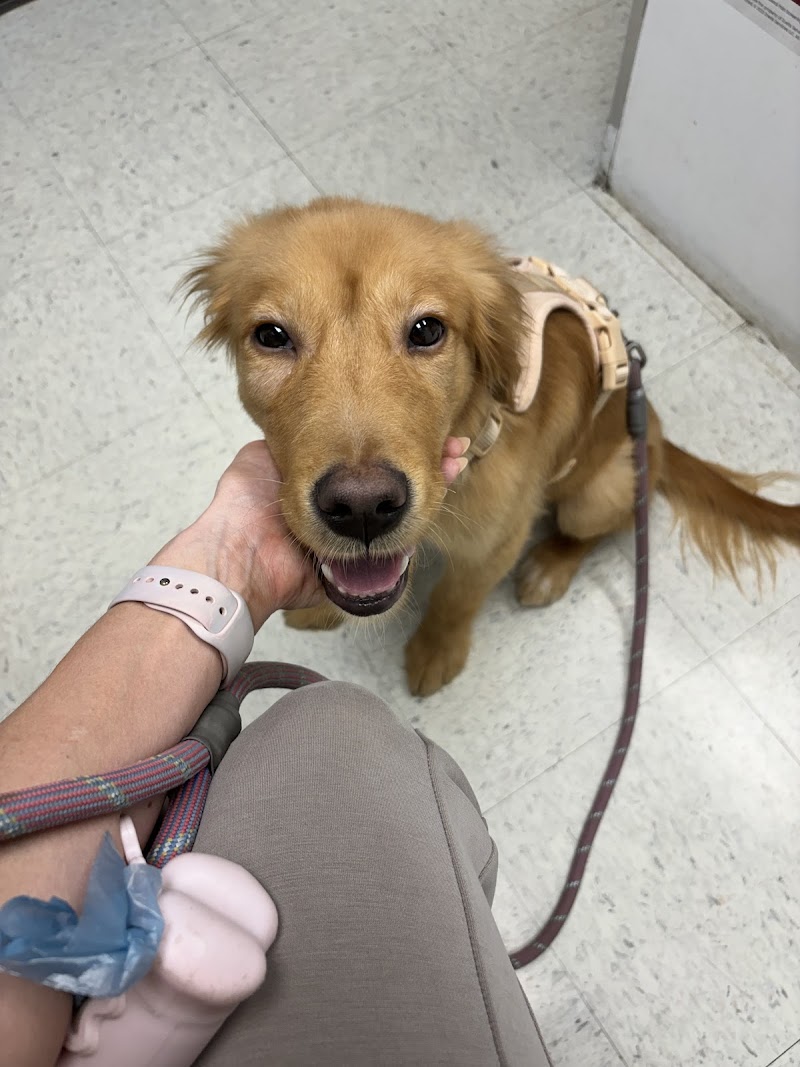 Animal Hospital of Seminole, A Thrive Pet Healthcare Partner photo 5
