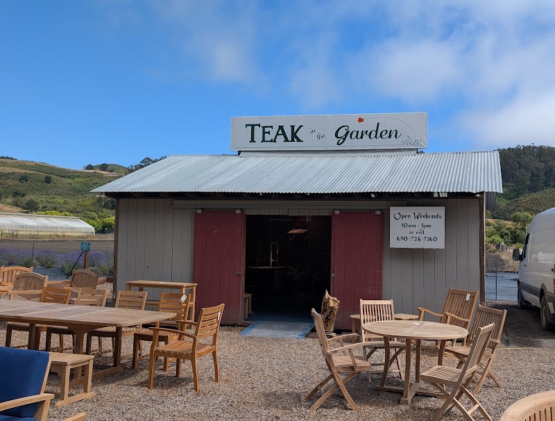 Photo of Teak In The Garden