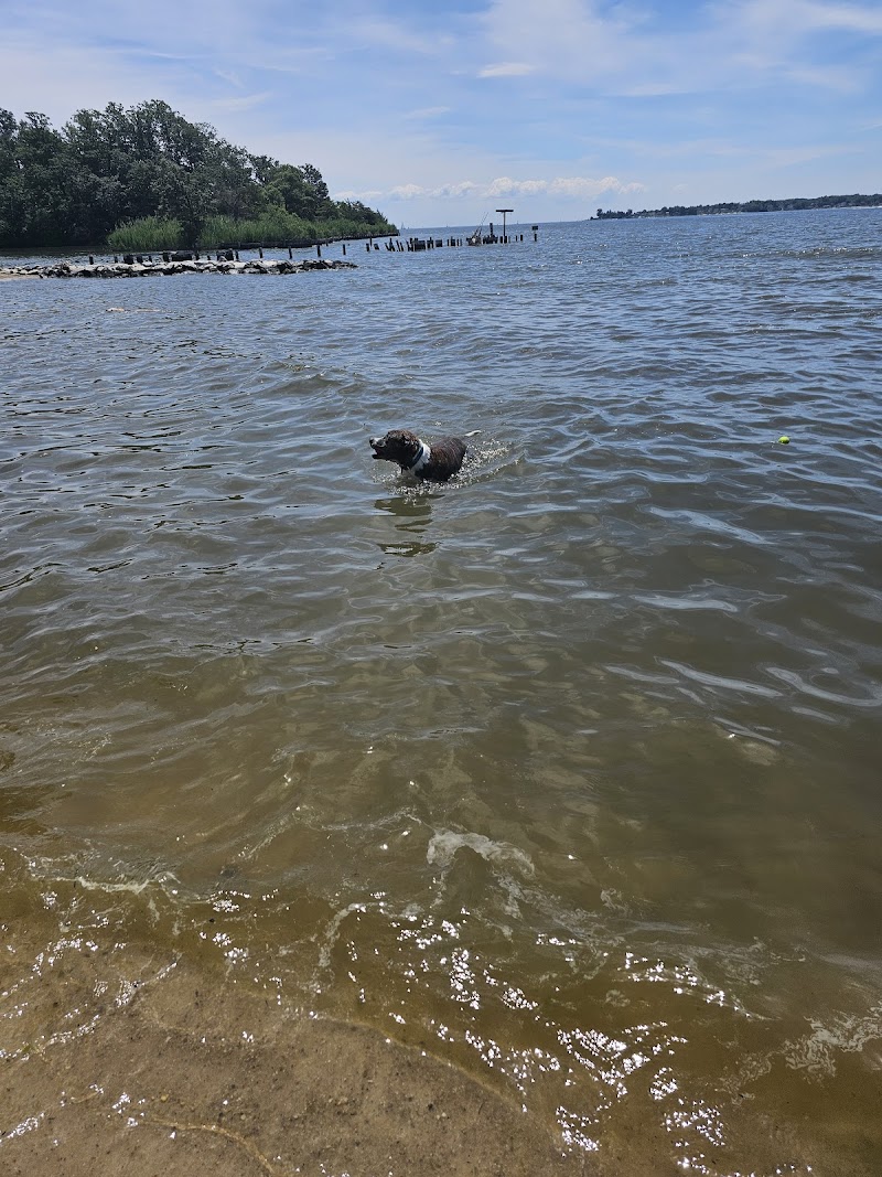 Photo of Quiet Waters Dog Park