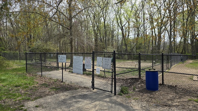 Quiet Waters Dog Park photo 5