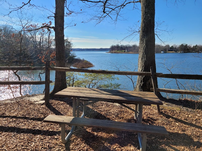 Quiet Waters Dog Park photo 4