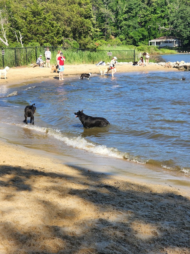 Quiet Waters Dog Park photo 2