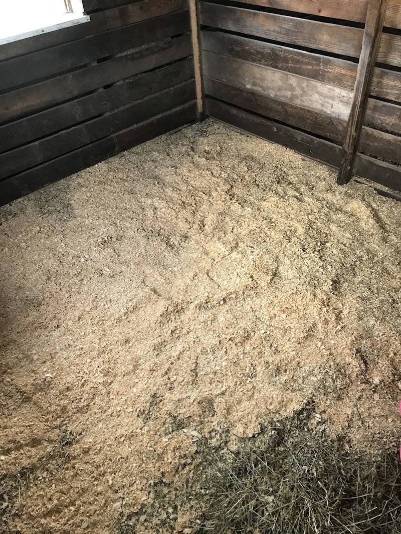 Emmet's Ranch & Equestrian Center photo 5