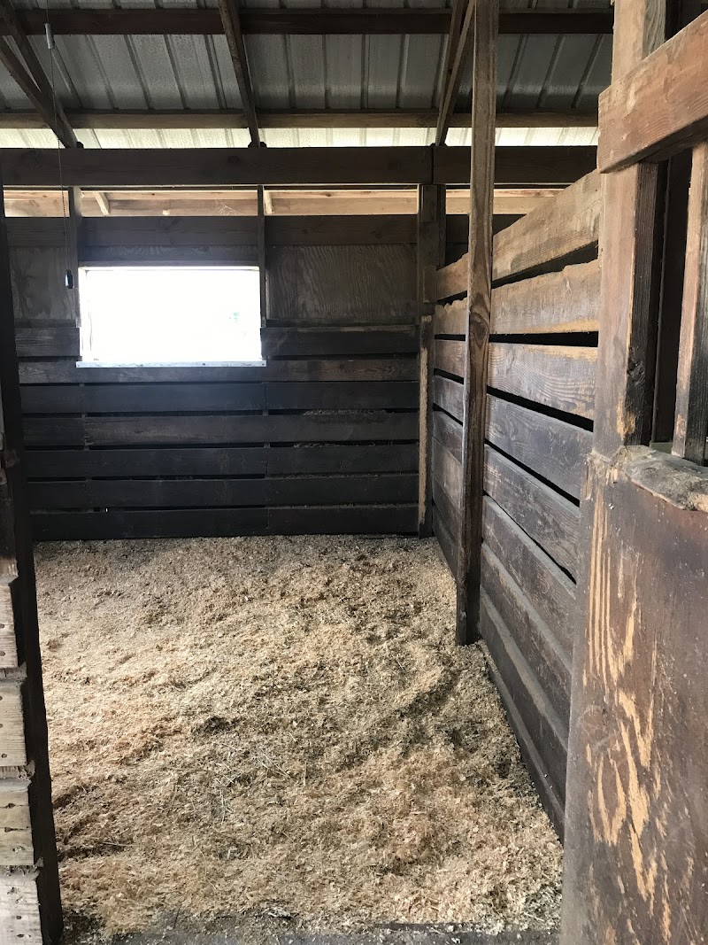 Emmet's Ranch & Equestrian Center photo 2