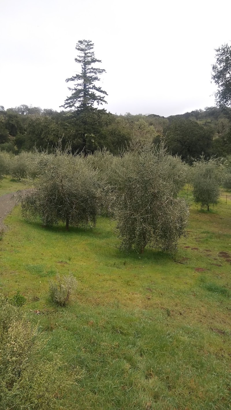 Photo of Silverwood Ranch