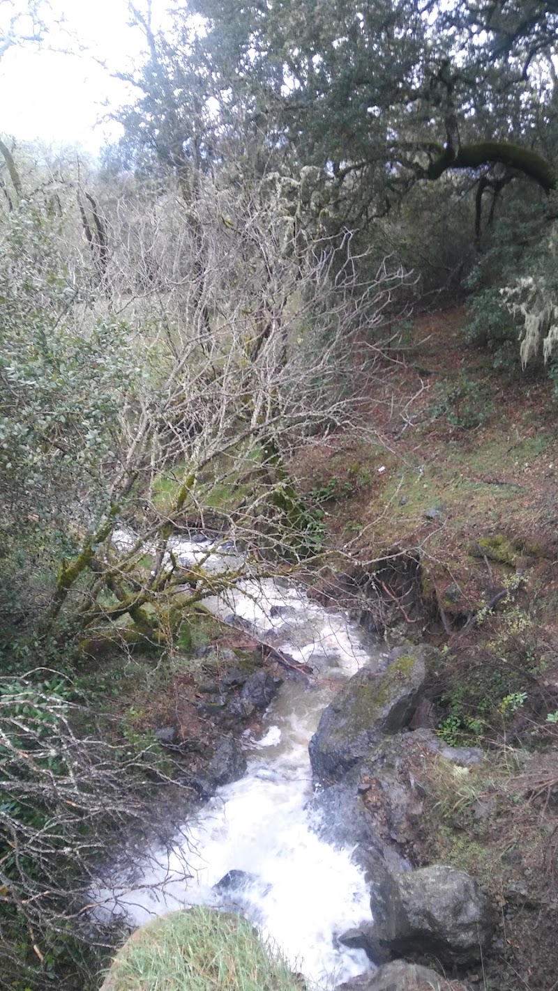 Silverwood Ranch photo 2