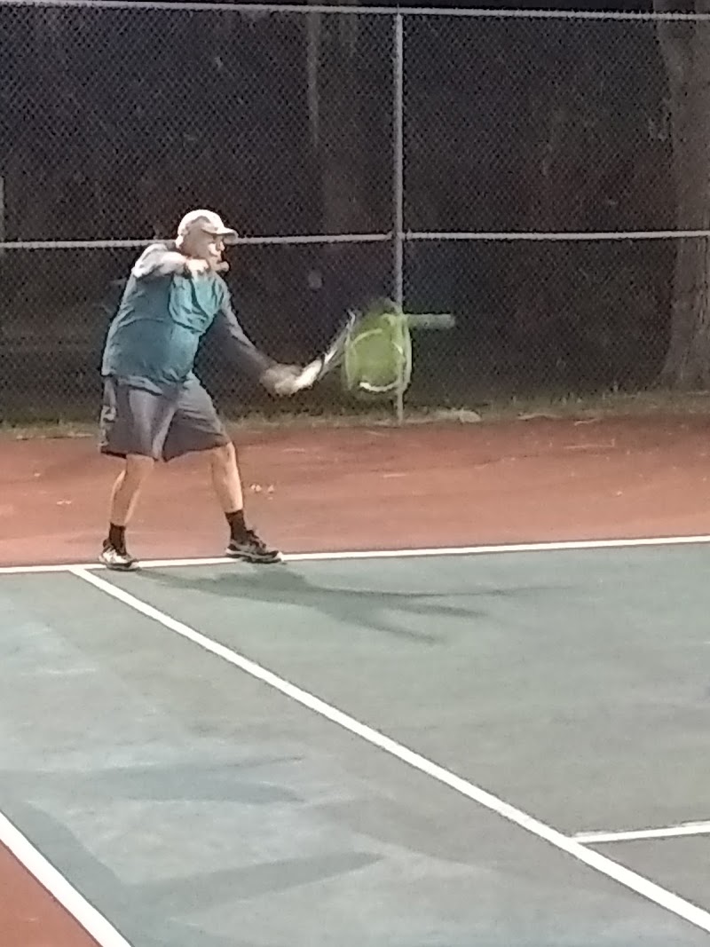 Palmetto St Tennis Courts photo 2
