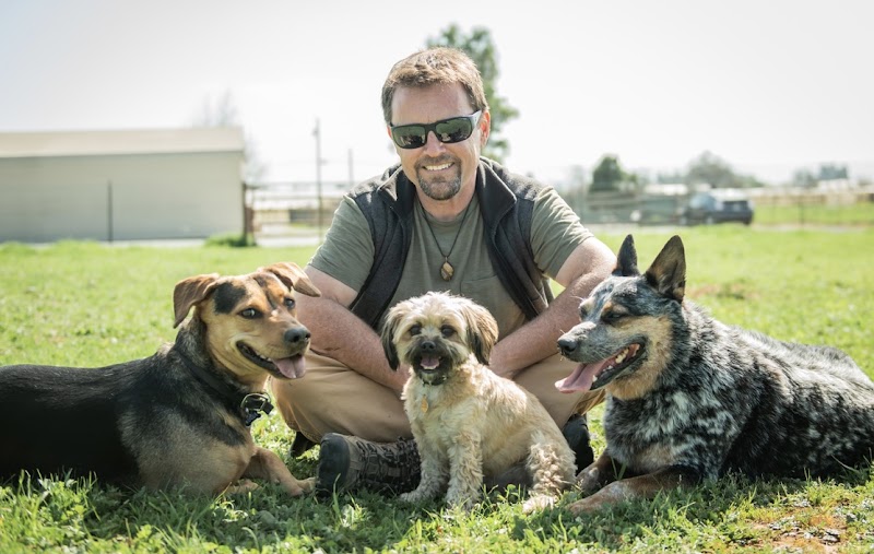 Thriving Canine photo 2