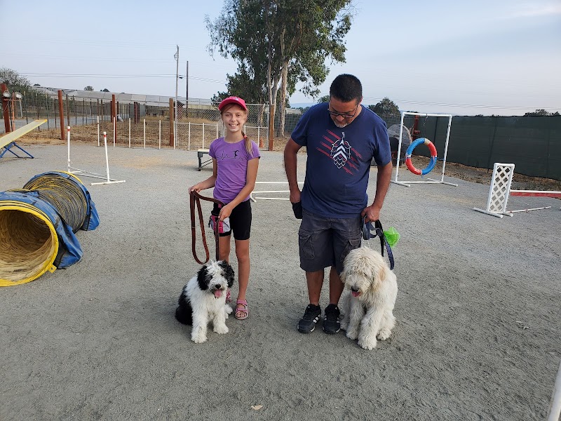 Thriving Canine photo 5