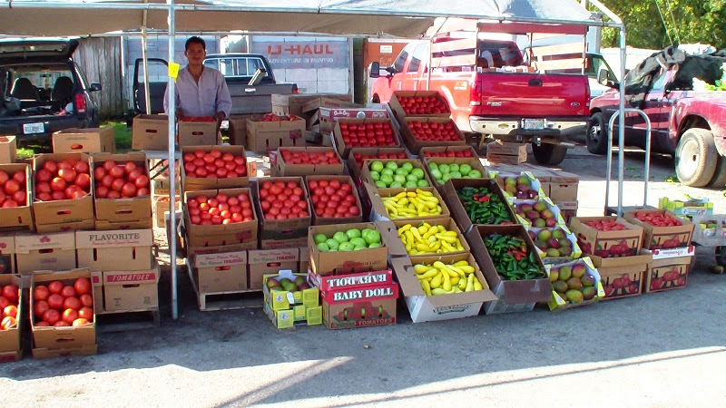 Plant City Farm & Flea Market photo 3
