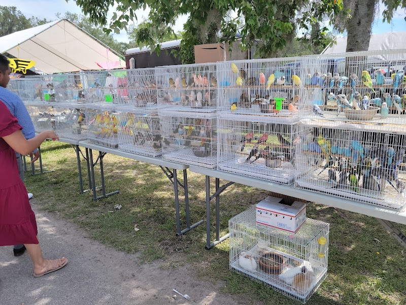 Plant City Farm & Flea Market photo 4