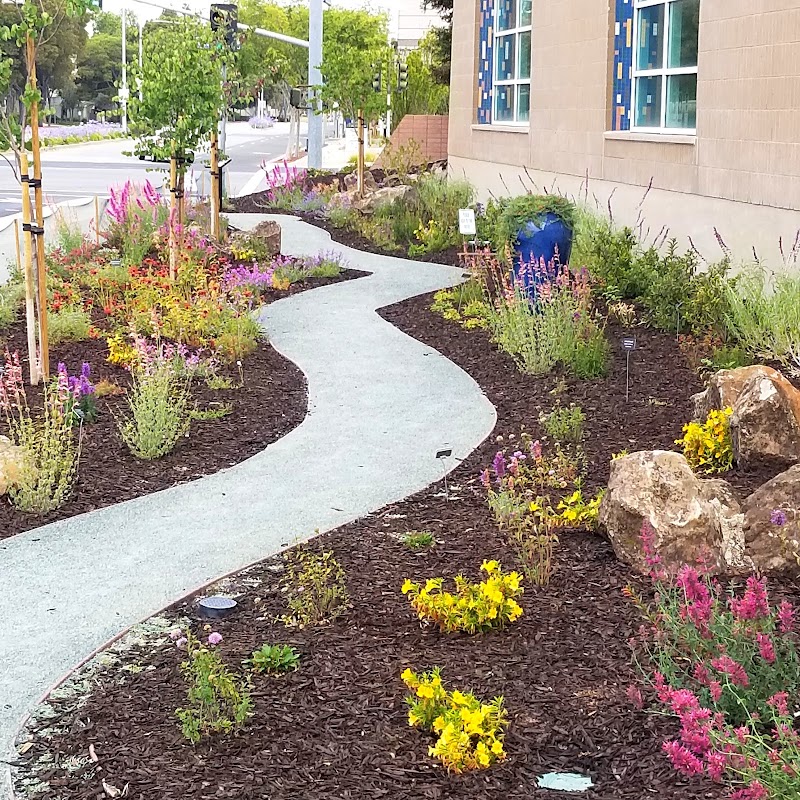 Photo of Habitat Garden | Foster City Library