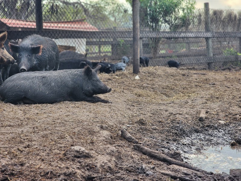 Shogun Farms photo 4