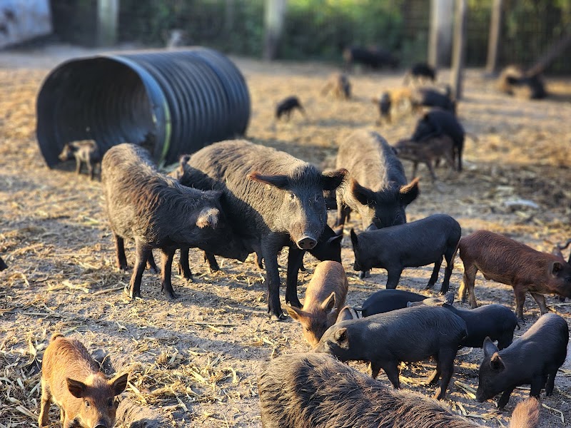 Shogun Farms photo 3