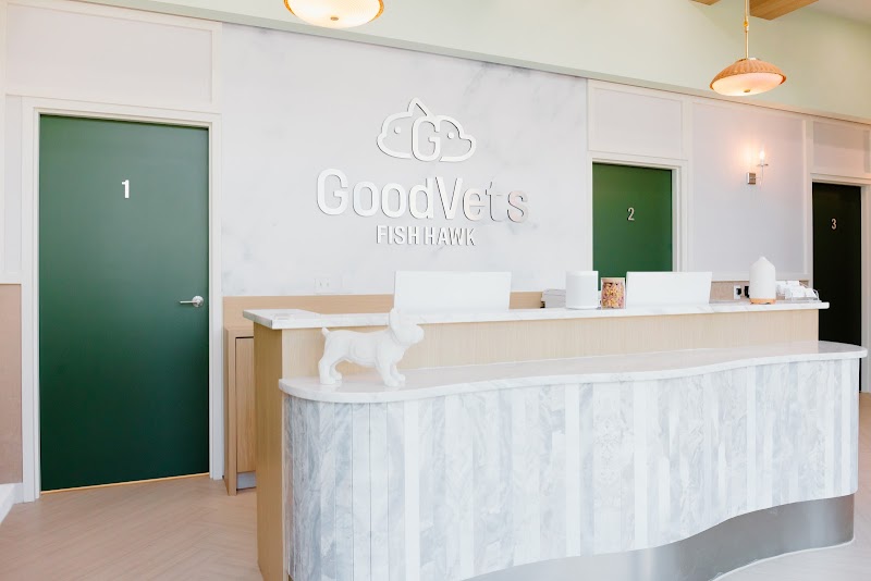 GoodVets Fish Hawk photo 2