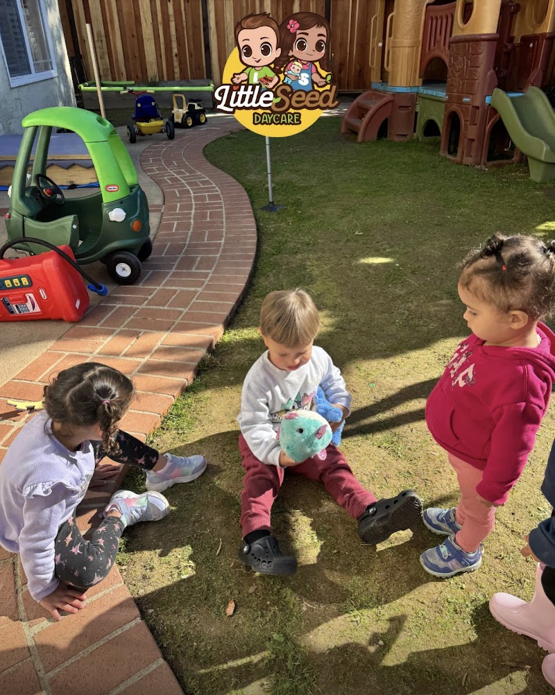 Little Seed Daycare photo 2
