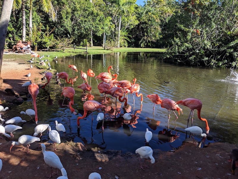 Photo of Sarasota Jungle Gardens