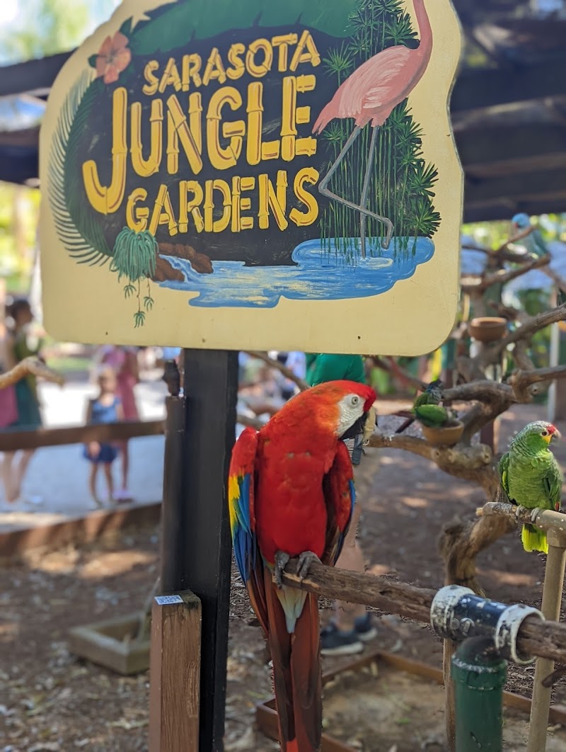 Sarasota Jungle Gardens photo 3
