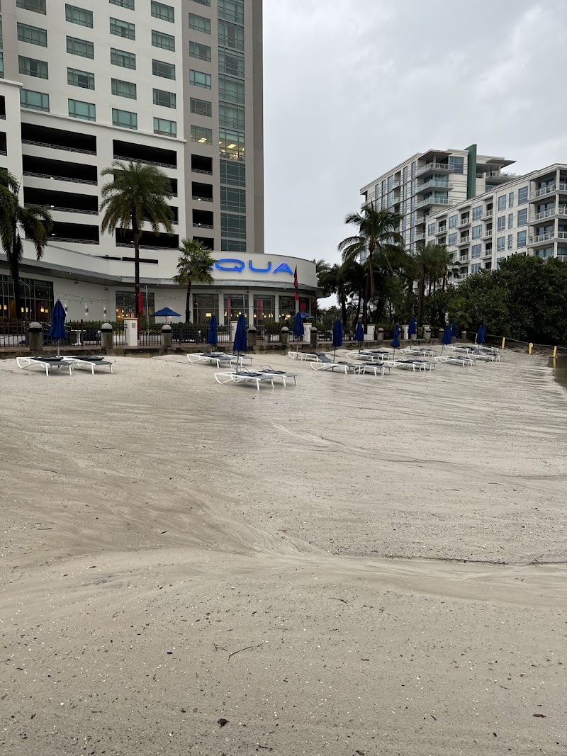 Tampa Florida Fishing photo 3