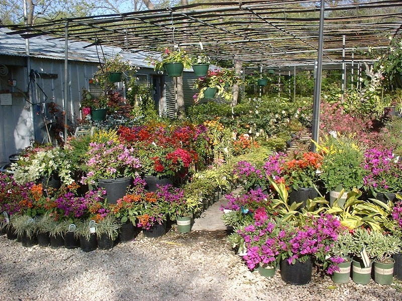 Fanick's Garden Center photo 2