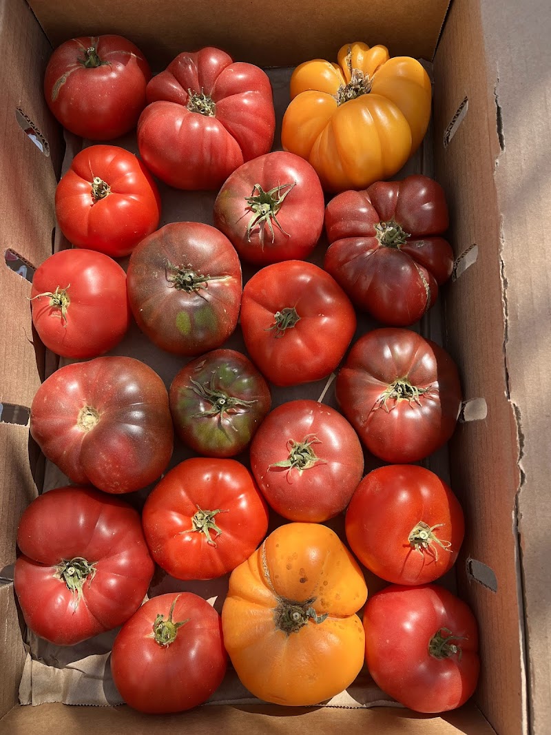 Food Shift photo 2